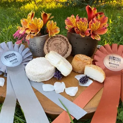 sélection de fromages