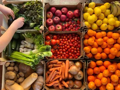 Fruits