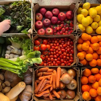 fruits frais de saison