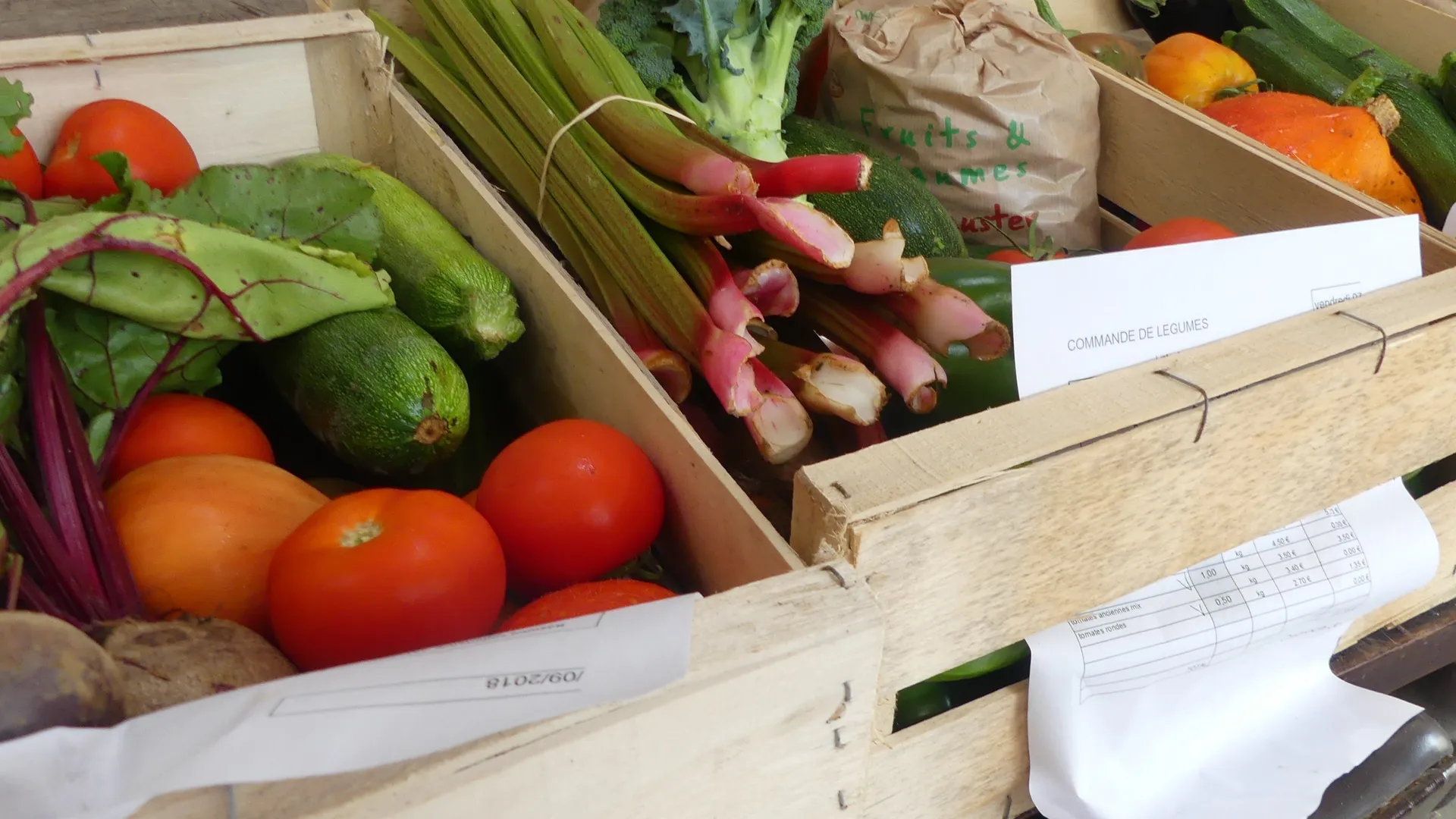 Cageots en bois remplis de légumes de saison fraîchement récoltés