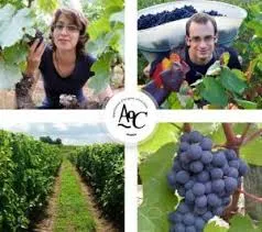 DOMAINE DE CEZIN